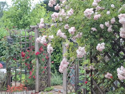 Homes and Gardens