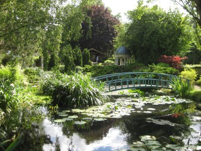 Deepwood Stud Farm NGS Garden