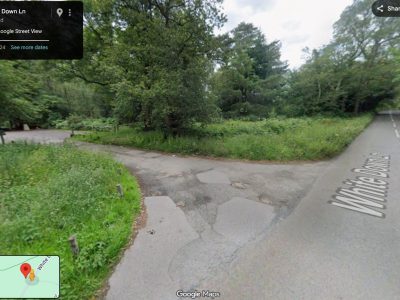 Abinger Roughs and Wotton Estate