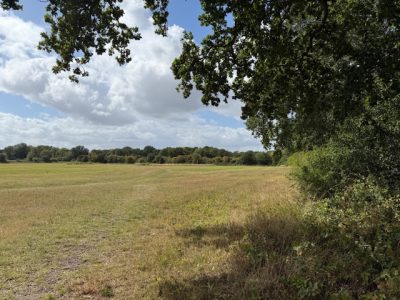 Ash Green Meadows