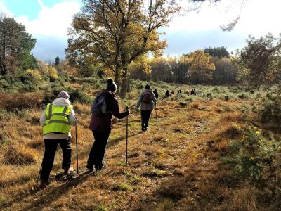 Healthy Walking Mytchett Canal Ranges