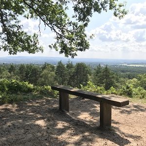 CROOKSBURY AND SURROUNDING AREA