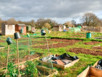 History of Allotments