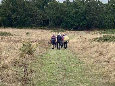 Southwood Woods