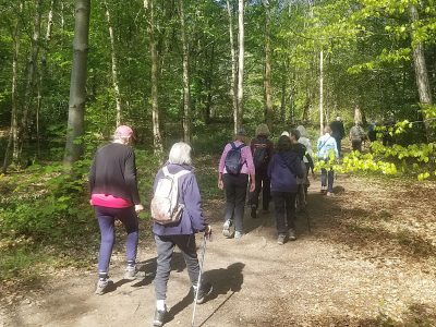 Newlands Corner