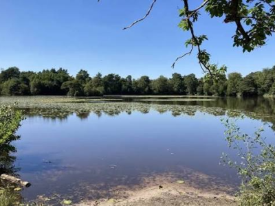 Pirbright & Stanford Common