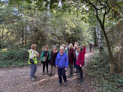 Ambling in Ash