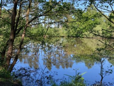Rapley Lake Bagshot