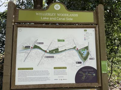 Basingstoke Canal