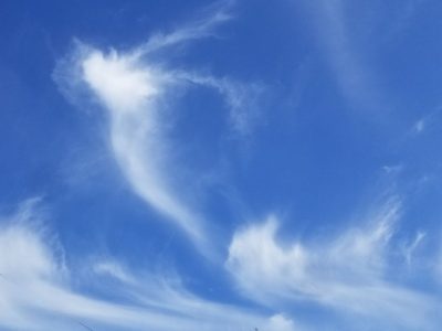"Looking Up!" Meeting CANCELLED