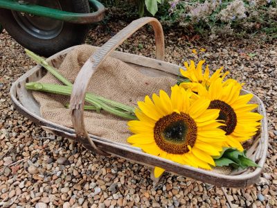 Garden Visits