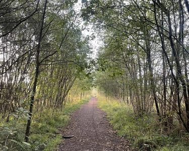 Merrist Wood and Whitmoor Common