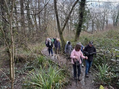 Rowhill Nature Reserve