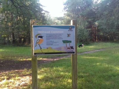 Velmead and Hartland Woods