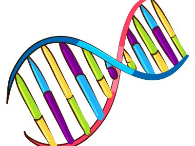 Revisiting DNA basics for Family Historians